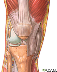 knee  injuries