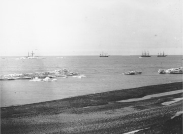 View of four three-masted whaling ships offshore from Barrow.