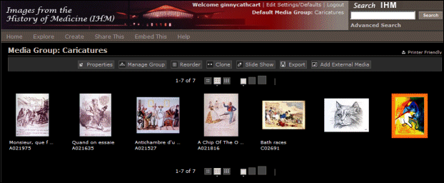 Screen shot of The Media Groups feature.