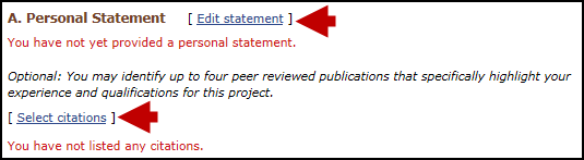 screen shot of Personal statement section.
