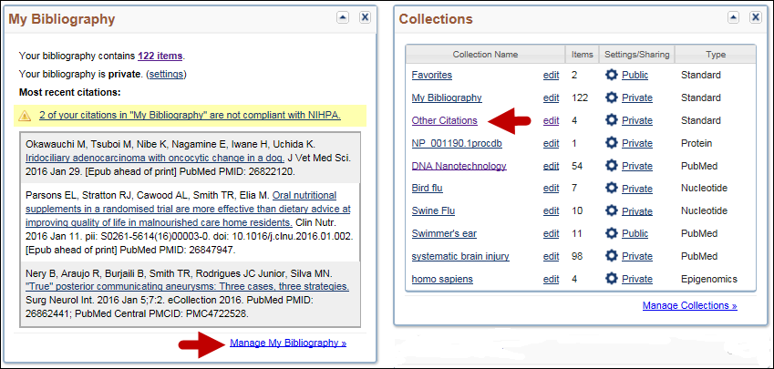 screen shot of Accessing My Bibliography or Other Citations collection