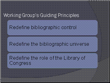 Working Group’s Guiding Principles