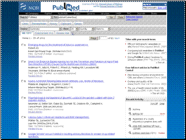 Current 2009 PubMed design for the search results page