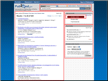 Prototype re-design for PubMed search summary display