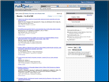 Prototype redesign of PubMed summary results, with the review filter selected.