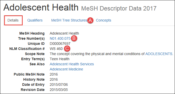 screenshot of the MeSH record Details view for Adolescent Health