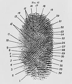 Fingerprint diagram, 1940