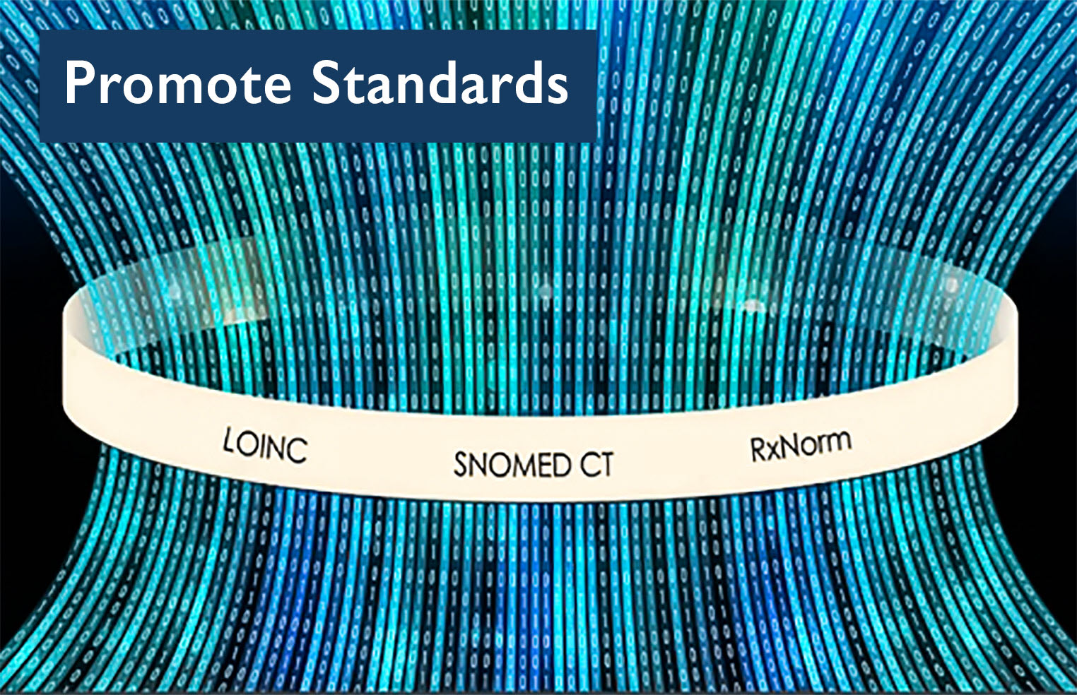 Graphic entitled Promote Standards shows curved blue and green lines bending l through a ring with the three acronyms of NLM offerings: LOINC, SNOMED CT and RxNorm.