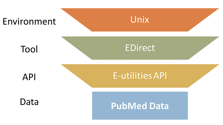 A diagram showing the conceptual relationship between Unix, EDirect, E-utilities and PubMed data: E-utilities is an API enabling access to PubMed data; EDirect is a tool that facilitates the use of E-utilities in a Unix enviornment