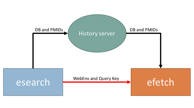 A diagram showing an esearch-efetch pipeline, using the History server: The esearch command pipes stores a DB identifier and a list of PMIDs on the history server, and pipes the Web Environment string and Query Key to an efetch command; the efetch command uses this information to retrieve the correct DB identifier and PMIDs from the history server 