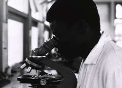 Seated man looks into a microscope