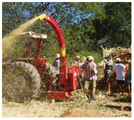Community members gather and grind corn with grinding machine