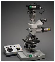 Dr. Anthony Fauci's microscope