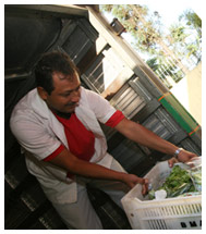 Food bank staff remove crate of lettuce from truck