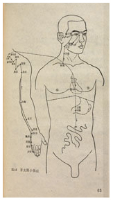 Chinese Barefoot doctor's manual depicting a diagram of a male human figure