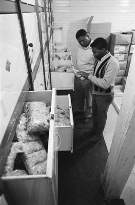 Dr. John Hatch and Melvin Grant pack potatoes in the co-op store room