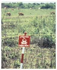 Landmine warning sign in Cambodian farmland