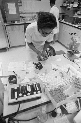 Delta Health Center staff member places lab sample on microscope slide