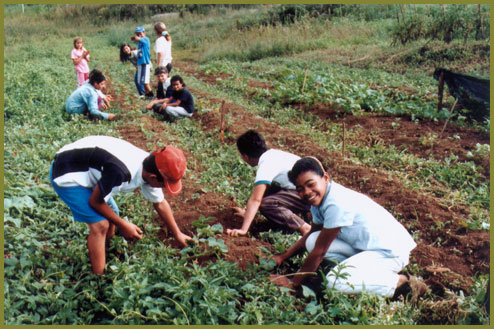 Landless Workers’ Movement members plant crops