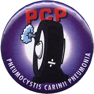 A purple button with an illustrated image of a upright tire with a white bandage on front and a hole in the back letter out air in the back. In red lettering at the top is the word PCP. At the bottom in white lettering are the words Pneumocystic Carinii Pneumonia.