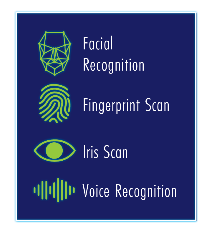 Infographic of types of biometric identification