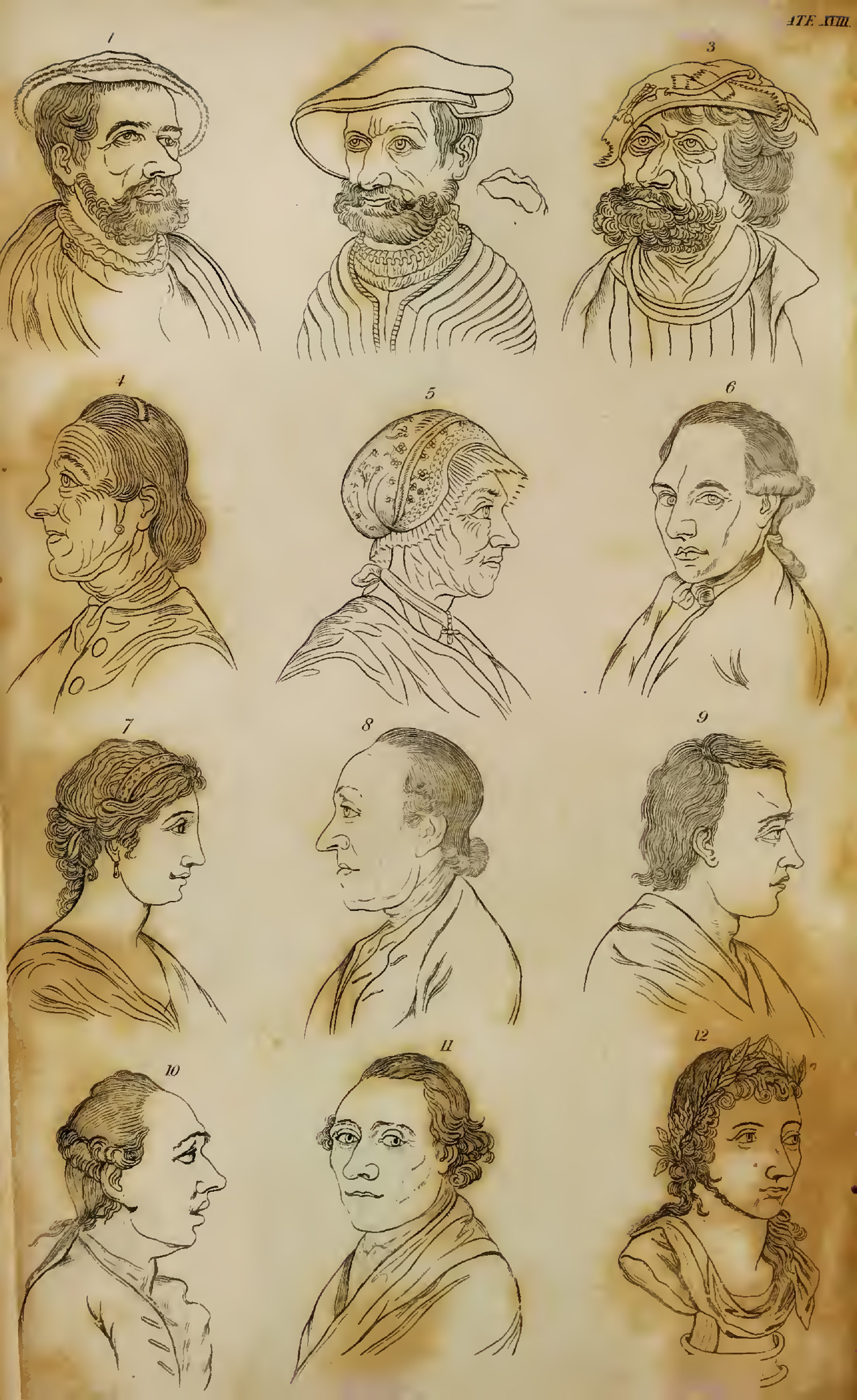 Illustration of the profile of 12 men of various nationalities