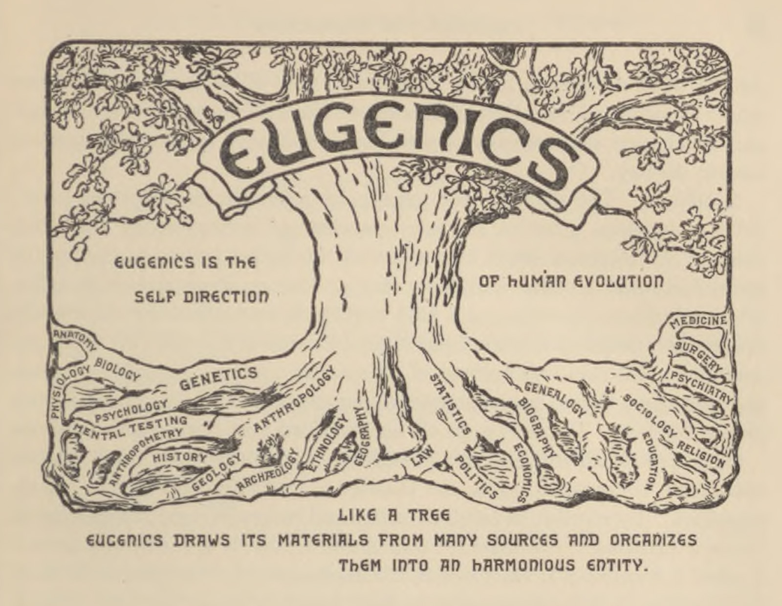 Page with text and a logo above showing a tree with the word “eugenics” emblazoned across it and various intellectual disciplines in the trees roots