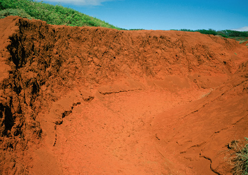 A depression of rust-colored earth, the result of soil erosion, is pictured. In the background are green grass and trees, and blue sky.