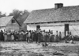 Black and white image of a large group of African Americans standing in front of two wooden buildings on a plantation. Courtesy Library of Congress
