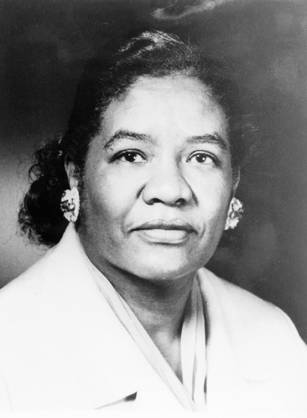 Dr. Dorothy Lavinia Brown, an African American woman posing for her portrait.