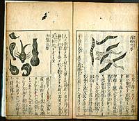 Hidetomi Watanabe's Gorui Shimpo open to show illustrations of parasites and how acupuncture combined with herbs can treat all kinds of diseases.
