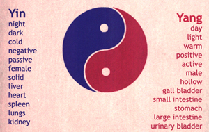 Yin and Yang diagram with the yin in blue and yang in red. Below the words yin and yang are the descriptive principles of the words. 