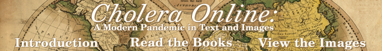 Cholera Online banner featuring a section of a world map in brown, green and yellow colors.