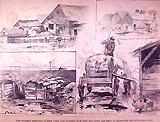 Exterior view: fours scenes include two views of cow stables at Blissville, pig pens along the street in Long Island City, and feeding cows on slaughter house refuse.