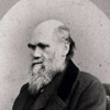 Portrait of Charles Darwin (1809–1882), around age 58. Image A018944 in the Images from the History of Medicine (IHM) collection.