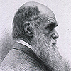 Portrait of Charles Darwin (1809–1882), around age 65. Image B05048 in the Images from the History of Medicine (IHM) collection.