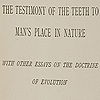 Title page from Balkwill’s The testimony of the teeth.