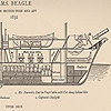 Illustration of the middle section fore and aft of the H.M.S. Beagle from Darwin’s Journal of researches.