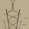 Image showing conical curving lines depicting a "Diagrammatic Representation of the Relations between Nutritive, Self-Maintaining, or Egoistic, and Reproductive, Species-Regarding, or Altruistic Activities," from Geddes and Thomson’s The evolution of sex.