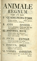 Table of contents from Linnaeus' Systema naturae, presenting his classification system of the natural world.
