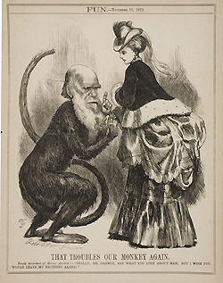 Image of a monkey with the head of Darwin, lecturing a finely dressed lady, from Fun.