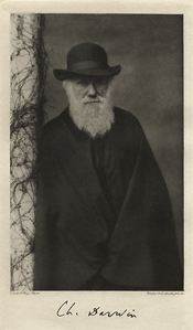 Portrait of an older Charles Darwin. Courtesy National Library of Medicine.