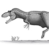 Image of daspletosaurus, rendering based on skeletal reconstruction, 2007.