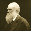 Photograph of Charles Darwin (1809-1882) taken a few years before his death. Image B05049 in the Images from the History of Medicine (IHM) collection.