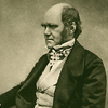 Portrait of Charles Darwin (1809–1882), around age 45, from a photograph by Maull & Fox, ca. 1854. Image B05043 in the Images from the History of Medicine (IHM) collection.