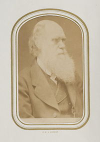 Portrait of Charles Darwin, around age 58. Image A018945 from the Images from the History of Medicine (IHM).