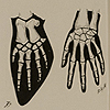 Image of homologous bones of the human hand and whale flipper, from Romanes’ Darwinism illustrated. Image of homologies of the wing bones in a reptile (pterodactyl), mammal (bat), and bird, from Romanes’ Darwinism illustrated.