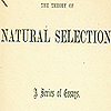 Title page from Wallace’s Contributions to the theory of natural selection.