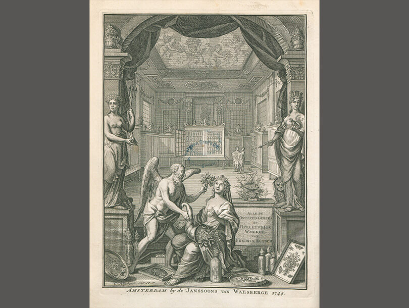 Frontispiece of an interior a winged old man offering olive branches to a seated woman with various collected specimen of insects, plants, amphibians in the foreground and a cabinet of jars on the background