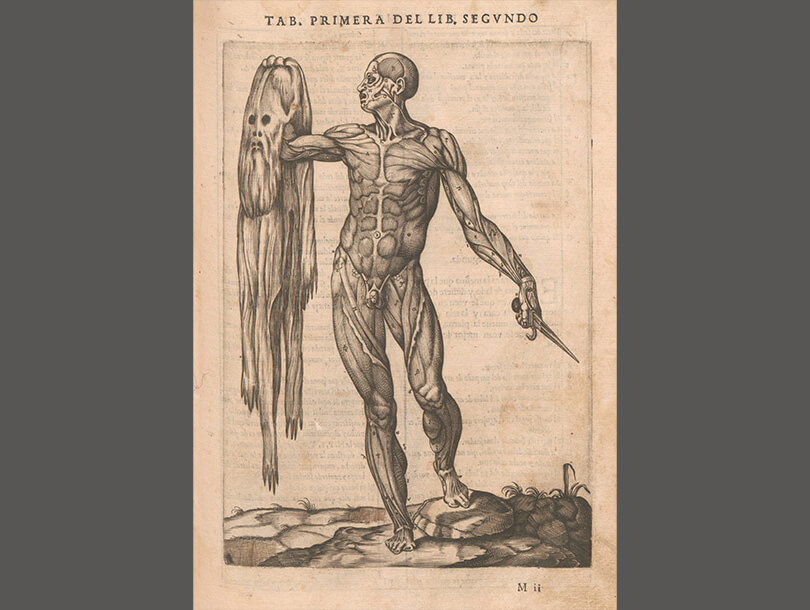 Flayed man holding up his skin, with stretched down and holding a knife.